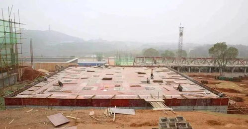 總投資4.23億元，無為城區水廠擴建工程正式開工，輸水管道同步推進